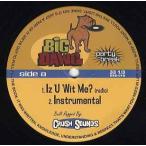 【レコード】CRUSH SOUNDS - IZ U WIT ME ? (Big Dawg Party Break) 12" US