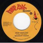 【レコード】IMAGINARY VISIONS - DROP YOUR LOAD 7" UK 2001年リリース