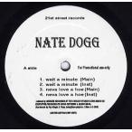 【レコード】NATE DOGG feat Warren G, Snoop Dogg - WAIT A MINUTE / NEVA LOVE A HOE 12" US
