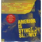 【レコード】V.A. - AMERICA IS DYING SLOWLY 2xLP US 1996年リリース