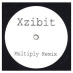 [ запись ]XZIBIT - MULTIPLY (REMIX) (WHITE LABEL) 12" US 2002 год Release 