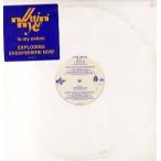 [ запись ]NUTTIN' NYCE - IN MY NATURE 12" US 1993 год Release 