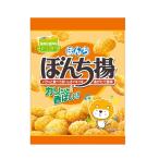 ぼんち ぼんち揚 チャック付 100g
