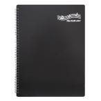 File PLUS DO 楽譜ファイル 書き込みできる バンドファイル 書き込み リングタイプ 30ポケット (ブラック 単品購入)