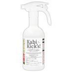 強力 カビ取り剤 カビキックス 液スプレー450g 業務用 お風呂 エアコン 壁紙 鉄壁