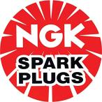 日本特殊陶業(NGK) レーシングプラグ 6253 一体形 R6725-9