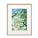  Hakuba HAKUBA легкий рама ZERO рама G-01 A4 натуральный FZG01-A4NT