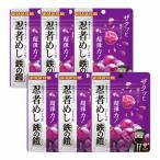 6袋セット UHA味覚糖 忍者めし 鉄の鎧 グレープ味 40g ハード食感 グミ ぐみ