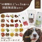 【レビュープレゼントキャンペーン開催中！】犬 おやつ 無添加 国産  ギフト フリーズドライ 野菜 フルーツ 鶏 豚 魚 鹿肉 犬おやつ 選べるおやつ 3種類