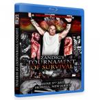 GCW ¥Ö¥ë¡¼¥ì¥¤¡ÖZandig's Tournament Of Survival II ¥Ç¥¹¥Þ¥Ã¥Á¥È¡¼¥Ê¥á¥ó¥È¡×¡Ê2017ǯ6·î3Æü¥Ë¥å¡¼¥¸¥ã¡¼¥¸¡¼½£¥Ï¥¦¥¨¥ë¡ËÃÝÅÄÀ¿»Ö »²À
