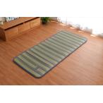 イケヒコ い草 い草マット マット ごろ寝マット フリーマット イカリ柄 アドラSマット 約80×180（中:ウレタン15mm） 7553209