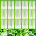 プルームテックプラス互換 ミントメンソール味 清涼感MAX カートリッジ ploom techウイズ対応可 リキッド VAPE 液漏れ防止