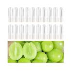 プルームテックプラス互換 カートリッジ マスカット味 メンソール感 蒸気量たっぷり 液漏れ防止 20本セット (マスカット)