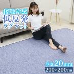 ショッピングラグ ラグ 夏 低反発 ひんやり 冷感 接触冷感 200×200 低反発 20ｍｍ 極厚 ふかふか ウレタン カーペット ラグマット 夏用 ひんやりマット おしゃれ フリーリー