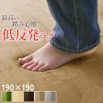 ラグ 【抗菌・防ダニ】カーペット 厚手 低反発ラグ 190×190 ラグマット オールシーズン 春 夏 防音 絨毯 おしゃれ フリーリー