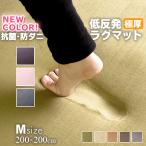 ラグ カーペット 厚手 低反発ラグ 極厚 25mm 200×200 ラグマット オールシーズン 春 夏 防音 絨毯 おしゃれ 抗菌 防ダニ フリーリー