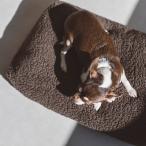 シンプルシープボアフリースベッド S