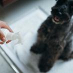  санитария устранение бактерий вода krejia clean 200ml