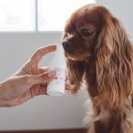 mi feed органический мышь спрей 50ml собака собака органический мышь зуб 