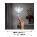 新品 スクウェア・エニックス ファイナル