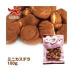 ミニカステラ 100g 日本