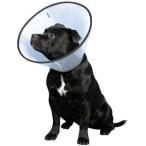 [ фэнтези world ] VET цвет M ( для средних собак ) прозрачный China 