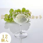 ソルベ シャーベット ジェラート ギフト Gift 贈り物 送料無料 やまなしそだち 輝くシャインマスカット 12個入