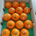 １１月２０日ころからお届け　　送料無料（北海道・沖縄除く）　愛媛県産　JAえひめ中央　紅まどんな　青秀L　　約3ｋｇ　15個入り