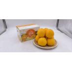 送料無料（沖縄・北海