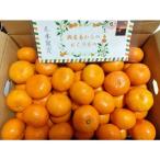  предварительный заказ распродажа 11 месяц средний . примерно из доставка прямая поставка от производителя! Ehime префектура .. остров маленький . san. мандарин . для бытового использования M размер 5kg