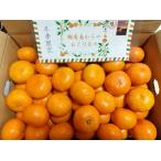  предварительный заказ распродажа 11 месяц средний . примерно из доставка прямая поставка от производителя! Ehime префектура .. остров маленький . san. мандарин . для бытового использования S размер 5kg