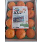 ショッピング甘平 送料無料（沖縄・北海道除く）　　　愛媛県　中島産　　甘平みかん　　L（15玉）〜4L（10玉）サイズ　約3ｋｇ