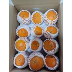 １２月１５日ごろ発送　愛媛県伊予市　田中さんの紅まどんなの規格外　愛果２８号　ご進物用１２玉