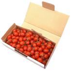  прямая поставка от производителя Kochi префектура производство .. happy помидор 500g овощи * помидор * высота сахар раз помидор * мини помидоры 