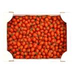  прямая поставка от производителя Kochi префектура производство .. happy помидор 3kg овощи * помидор * высота сахар раз помидор * мини помидоры 