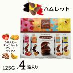 チョコレート ハムレット アソートボックス ベルギー産 クリスピーチョコレート フルーツ 500g 125g x 4箱 お菓子 チョコ パフ入り 小分け包装 コストコ