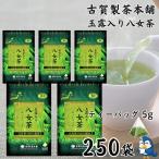 送料無料 お茶 ティーバッグ 玉露入