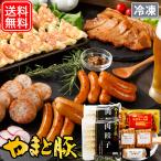 お肉 おつまみ ギフト (B)  NSG-F | (冷凍) お歳暮 2025 肉 食べ物 食品 内祝い ギフトセット 惣菜 冷凍 おつまみセット 美味しい お取り寄せ 贈り物