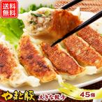 やまと豚 大きな肉餃子 45個 |[冷凍] 