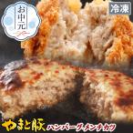 ハンバーグ メンチカツ 詰め合わせ 