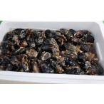 .. корм Seto .20 шт 