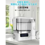 口腔洗浄器 口腔洗浄機 歯茎ケア 歯垢洗浄 歯周ポケット洗浄 舌の汚れをケア ジェットウォッシャー 600ml大容量 10段階水圧調節 ウォーターピック 強弱切り替え