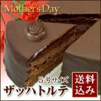 [4/15(23:59) до скидка за ранний заказ ] День матери первоклассный. The  - torute5 номер ( гвоздика имеется )f ром магазин . включая доставку рефрижератор рейс 