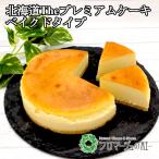 【冷凍品】北海道Theプレミアムケーキ（ベイクドタイプ）　１個入り　ベイクドチーズケーキ