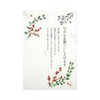  холод средний открытка ....lkpc-055