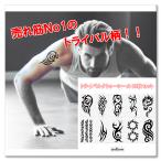 ^gD[V[ ؍ 2T gCo ^gD[ V[   gCo^gD[ mN tattoo  S11g 10Zbg 1000~|bL