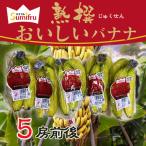 eka доллар производство ...... banana 5. передний и задний (до и после) 