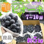  Okayama префектура производство вид нет новый pio-ne7~10. примерно 5kg хорошая вещь * прохладный рейс отправка фрукты .. было использовано 