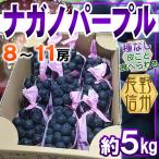  Nagano префектура производство nagano лиловый 8~11. примерно 5kg прохладный рейс отправка 