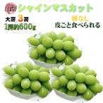  Yamanashi префектура производство автомобиль in мускат 3.1. примерно 600g прохладный рейс отправка 